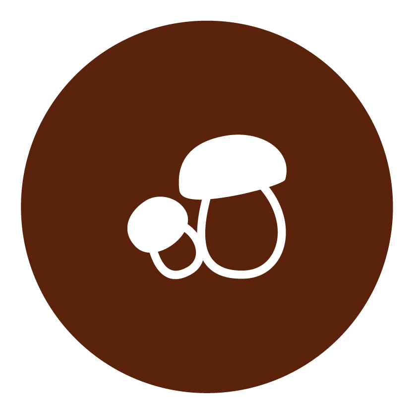icona funghi